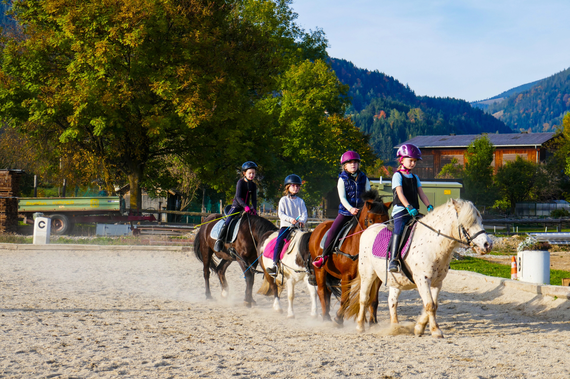 Konjeniški tabor ponuja prostor, kjer vsak najde svojo vlogo.